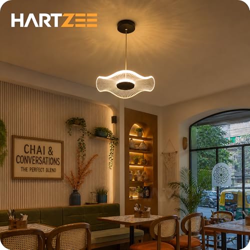 Image of Elio Drop Pendant Lamp Chandelier 12W LED Warm White Modern Hanging Ceiling Light for Living Room Bedroom Dining Kitchen Cafe Decorative Light with Adjustable Height