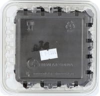 Blackberries, 6 oz — image 2