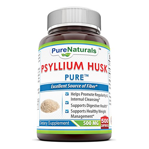 Pure Naturals Psyllium Husk 500 Mg, 500 Count