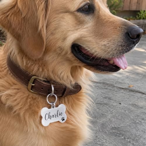Personalized Dog Tags for Pets - Durable Stainless Steel Customizable Dog Cat ID Tags - Dog Tags for Safety Optional Engraved on Both Sides -Bone Shape Dog Tag Large Size, Silver - Image 5