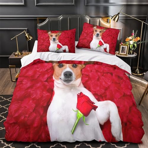 Housses de couettes microfibre 3 pièces lit double avec fermeture éclair King