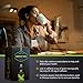 ORGANO Green Tea with Ganoderma Lucidum (1 Box of 25 Sachets)
