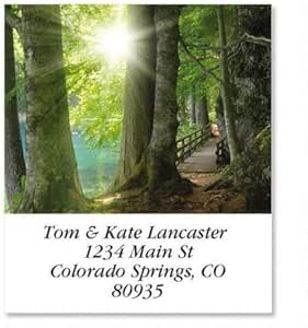 Sun Through Trees Return Address Labels - 144 Self-Adhesive 1-1/8 X 2-1/4 Inch Personalized Labels