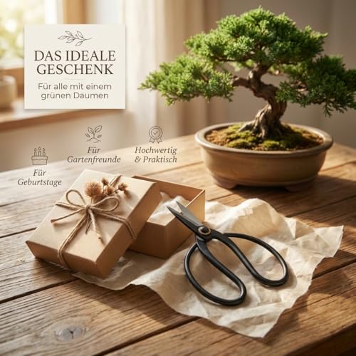 Scharfe Bonsai Schere aus Stahl - Traditionelles Bonsai Werkzeug für eine professionelle Bonsai-Zucht - ideal für Knospen, Blätter & Äste
