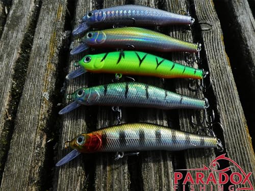 Foto von Paradox Fishing Wobbler Set I 5 Stück 8,0g 8,8cm mit Box I Hecht Köder Zander Köder Barsch Köder