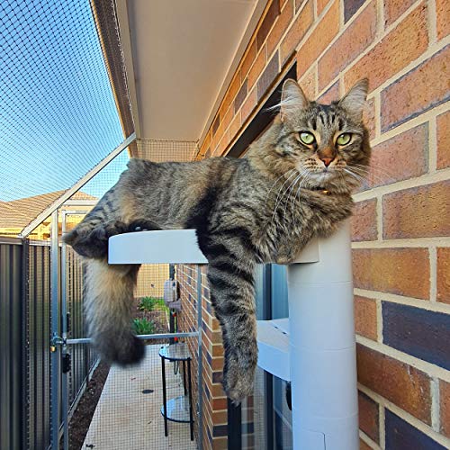 MONKEE TREE - Modular Cat Ladder for inside or outside 12 Trunk Starter Pack