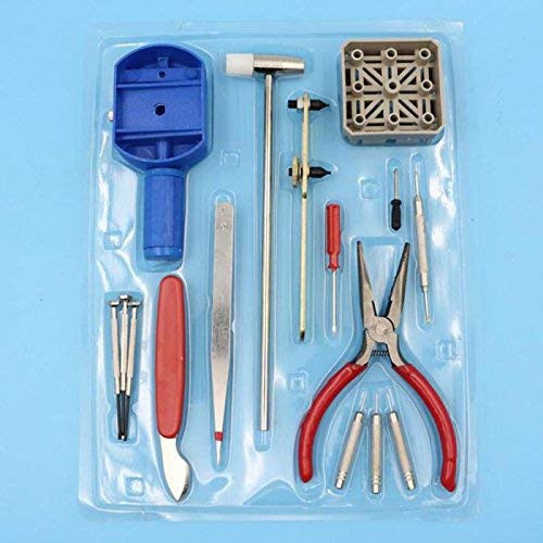 Buy Rangwell Watch Repair Tools Kits 16 Pieces/Set Hand Micro