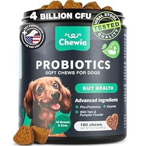 Probiotics for Dogs Gut Health, Digestion, Immunity, Yeast Balance, Itchy Skin, Allergies Support – Dog Probiotic Chews with Digestive Enzymes for Gut Flora- Soft Treats with Pumpkin and Yeast Powder