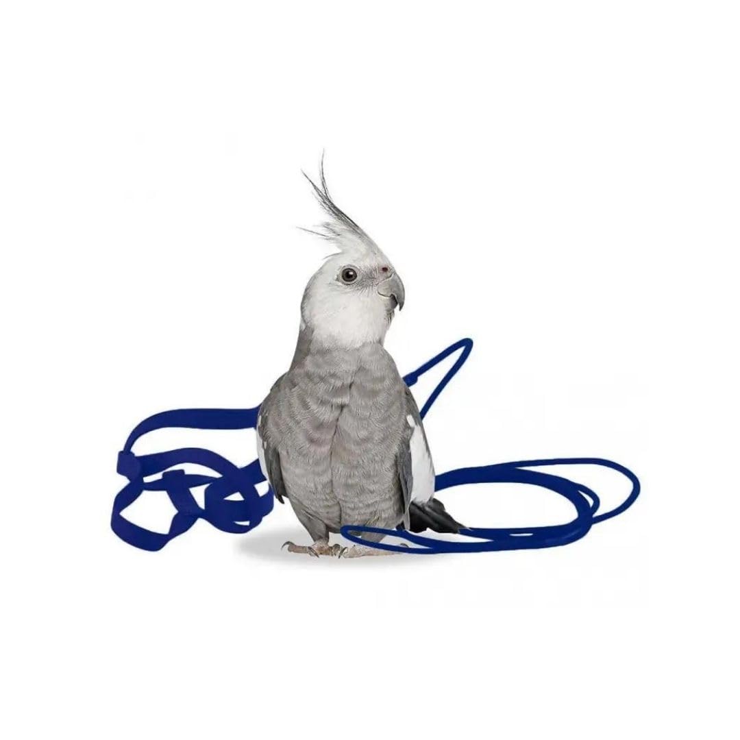Arnes para Aves The Aviator Azul Talla Petite 75-110 grs