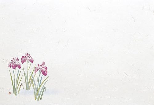 ڂT_a΂܂ lG Ҋ (100) [31×45cm] | 㐻i