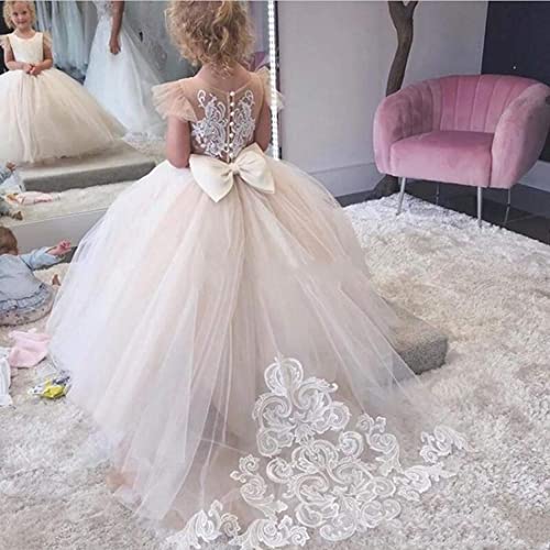 Lace Tulle Flower Girl Dresses for Wedding Party Kids Prom Ball Gown GZY2304