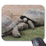  Mauspad mit seidenweicher Textiloberfläche - (antistatische Wirkung - perfekte Gleiteigenschaft - Abmaße: 200 x 200 x 0,3 mm (B x H x T)) PC / Computer Mousepad-Riesenschildkröten Mauspad