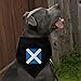 GRAPHICS & MORE Scotland Scottish Country Flag Dog Pet Bandana - Black