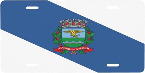 Placa de matrícula de aluminio para automóvil de 6 x 12 pulgadas, placa frontal de metal novedosa, etiqueta frontal de automóvil, accesorios