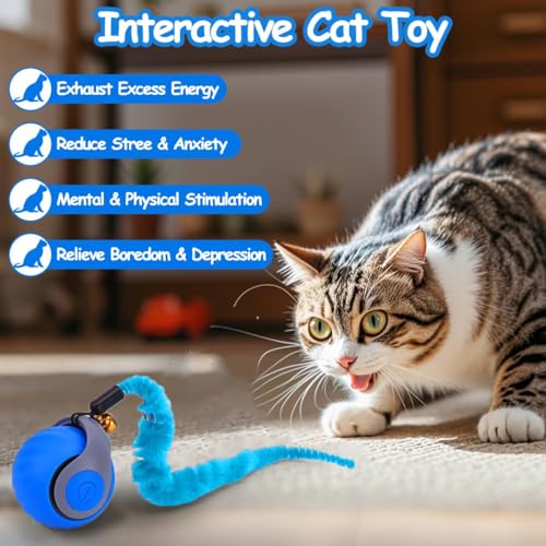 Interaktives-Katzenball-Spielzeug-Elektrisch-Katzenspielzeug-Ball-interaktives-Spielzeug-mit-Schwanz-fur-Katzen-Katzenspielzeug-SelbstbeschaftigungUber-USB-WiederaufladbaresShort-Tail-blau | Dealmeister.io Alt tag für bilder post titel