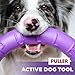 PULLER Midi Interaktives Hundespielzeug Fitness-Tool-Set