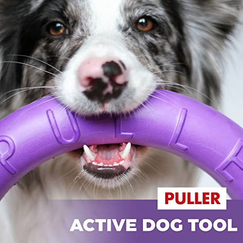 PULLER Midi Interaktives Hundespielzeug Fitness-Tool-Set
