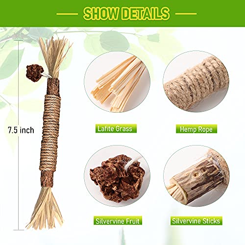 Gbsyu 3 Pack Silvervine Cat Toy, Silvervine Sticks Cat Toys For Indoor Cats, Cat & Kitten Chew Toys For Aggressive Chewers, Cat Dental Toy For Kitten Teeth Cleaning, Matatabi Silvervine For Cats #TOP5