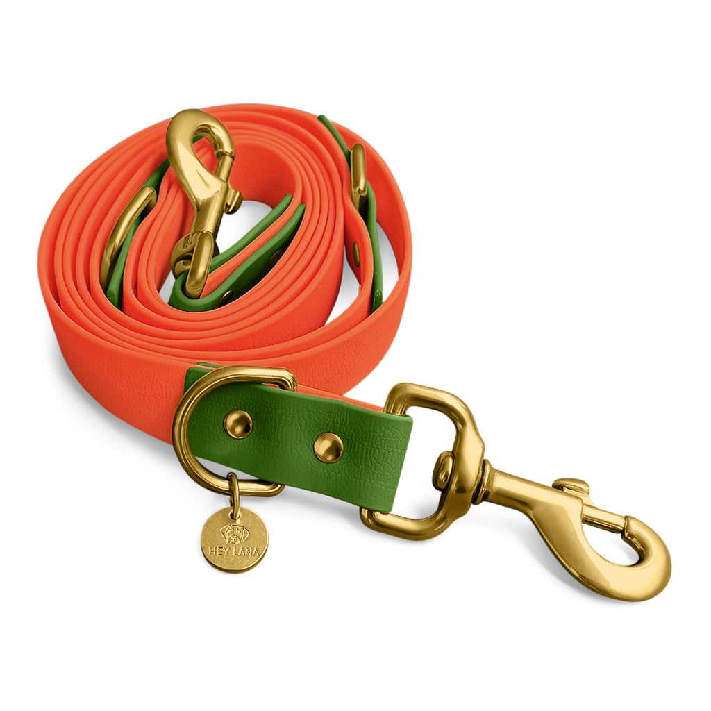 Correa para Perros Hey Lana, Correa de Paseo Ajustable, con 2 mosquetones y 3 Posiciones, Correa de adiestramiento, Correa de tracción, Correa Manos Libres (S, Naranja/Verde, 230cm x 1,5cm)