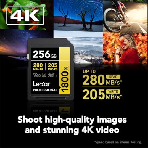 Lexar Gold 1800x 256GB thumbnail 4