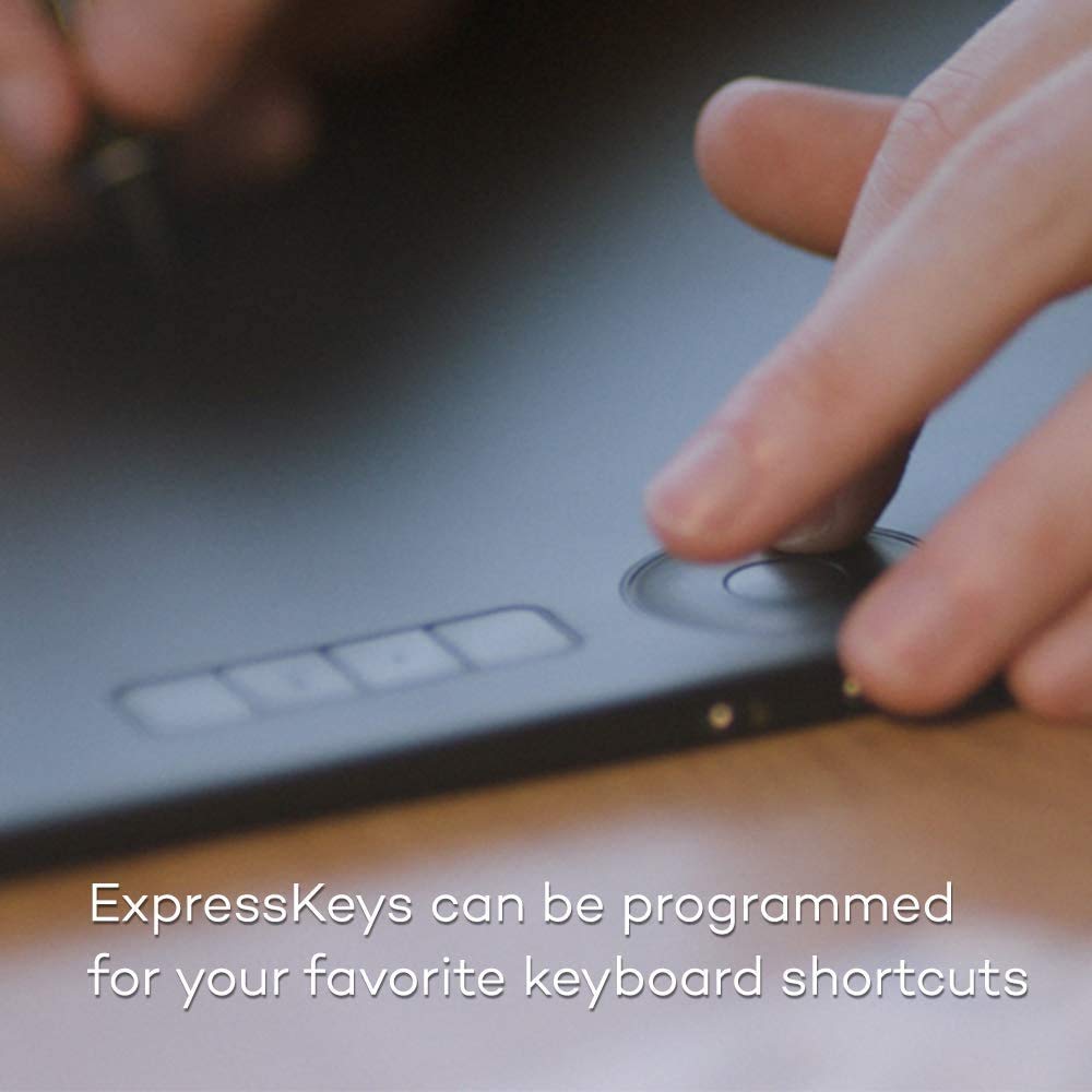 Wacom Intuos Pro Digital Graphic Drawing Tablet for Mac or PC