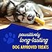 Himalayan Dog Chew Original Yak Cheese Chew, 1 Medium Stick, 2.3 oz, Gluten Free, Healthy Treats, Grain & Lactose Free 100% Natural, Long Lasting, for Dogs Under 35 lbs