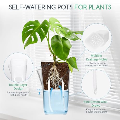 FIMXSD 12 Pack 2" Small Self-Watering Planter Pots - Mini Clear Seed Starter Pots with Visible Water Level, Plastic Nursery Pots for Succulents, Herbs, and Propagation - Includes 12 Plant Labels - Image 4