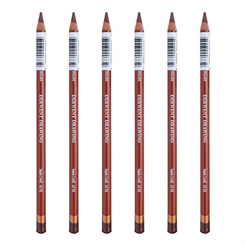 Derwent _[EFg FM h[COyV ZsAbh 6110 P[X6{ 0700685