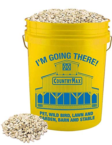 CountryMax Backyard Seeds Safflower Bird Seed for Cardinals (20 Pound Bucket)