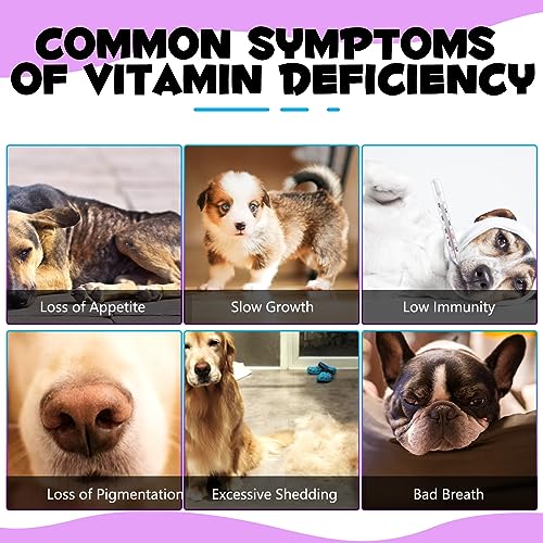 Dog-Multivitamin-15-in-1-Dog-Multivitamin-Liquid-Drops-Supplements-Dog-Vitamins-for-Support-Skin-Coat-Heart-Health-Bones-Joint-Immune-System-Support-60ml