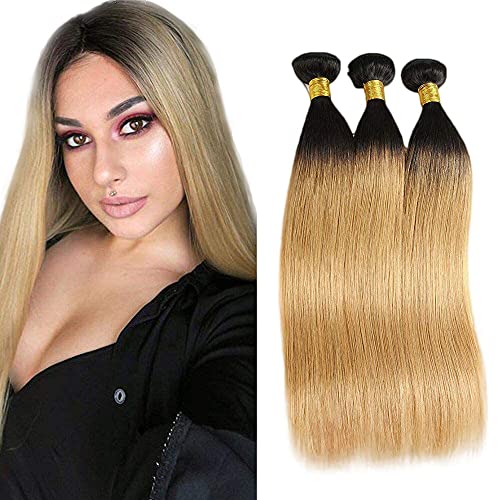 WunnSvm 1b/27 Ombre Straight Bundles Human Hair Blonde Bundles With Black Roots 8A Unprocessed Brazilian Virgin Ombre 1b/27 Human Hair Bundles Extensions For Woman(8 10 12)Inch