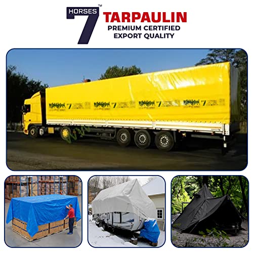 Image of 7 Horses 9 x 9 ft 180 GSM Blue Tarpaulin Tirpal Tadpatri Tharpai Thadika|Heavy Duty Poly Tarp with Aluminium Eyelets Every 7 feet|100% Waterproof Plastic Cover for Truck, Roof, Rain & More