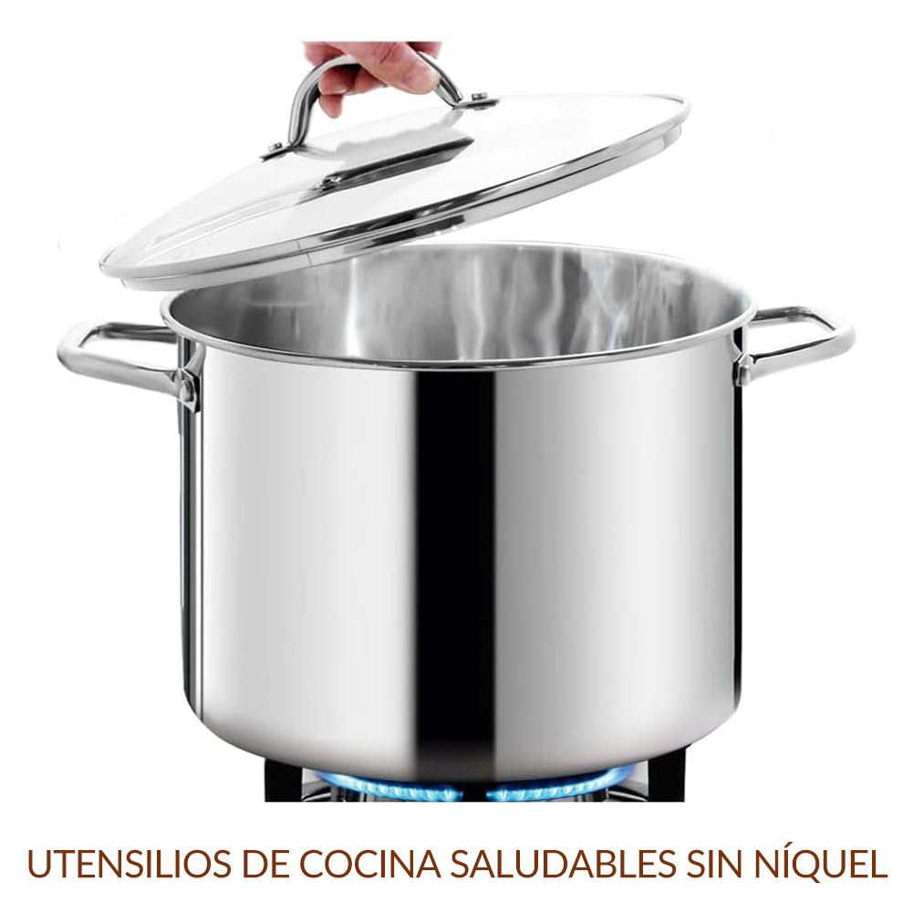 HOMICHEF Olla grande de acero inoxidable sin níquel con tapa (29 cm, 11 litros) - Olla sopera pesada pulida espejo 11L con tapa