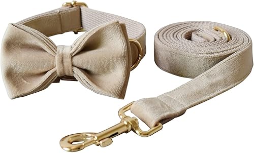 Miniatura 8 de Collar de perro con nombre y número de teléfono grabados personalizados para cachorros pequeños, medianos y grandes (M, caqui)