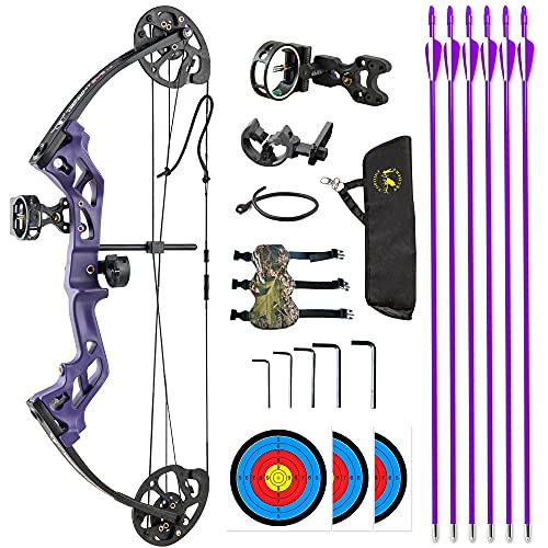Best Purple Compound Bow 2024 Where to Buy?