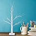 Sunnyglade 2PCS 2Ft 24 LED Birch Tree Light Bonsai Tree Light Warm White for Home Wedding Festival Party Christmas Decoration