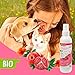 beaphar 17750 Bio Trocken-Shampoo für Hunde und Katzen, sanfte Pflege und Reinigung des Fells ohne Wassser, 200 ml