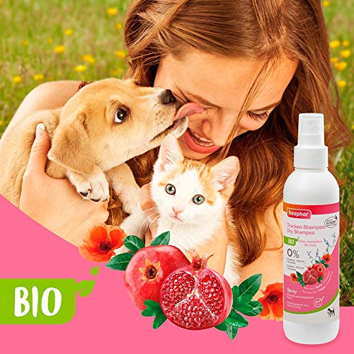 beaphar 17750 Bio Trocken-Shampoo für Hunde und Katzen, sanfte Pflege und Reinigung des Fells ohne Wassser, 200 ml