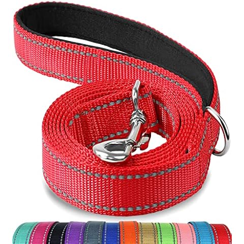 Joytale Padded Handle Dog Lead,Double-Sided Reflective Nylon Dogs Leads for Training,Walking Leash for Small, Medium Dogs, 1.2m × 2cm, Red Cover