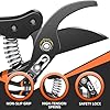 DECERK® 8.5" Professional Pruning Shears - Cuts 4X Easier with Ultra Sharp Japanese Steel Titanium Blade, Arthritis Friendly Garden Scissors & Plant Clippers, Effortlessly Prunes 3/4" Branches #3