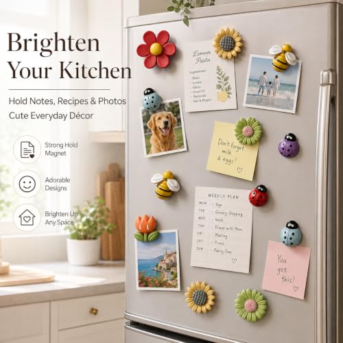 10 Imánes Decorativos para Refrigerador miniatura 5