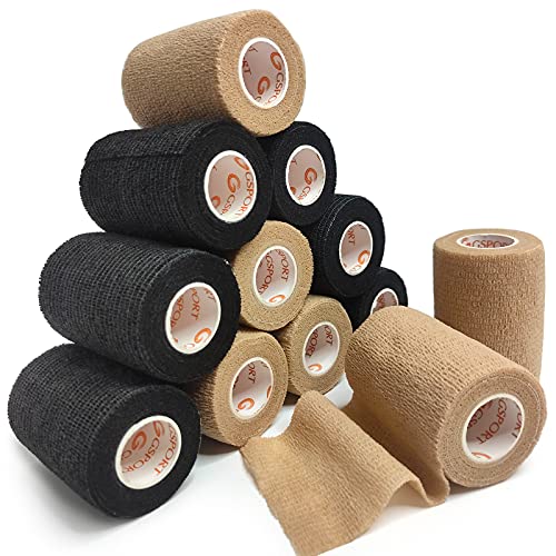 сAȔS AwAArAeсApLk7.5cm 6[̐F6[