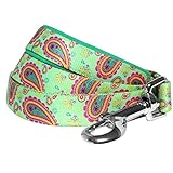 Blueberry Pet 3 Colors Easter Spring Paisley Flower Print Dog Leash with Soft & Comfortable Handle, 5 ft x 3/4