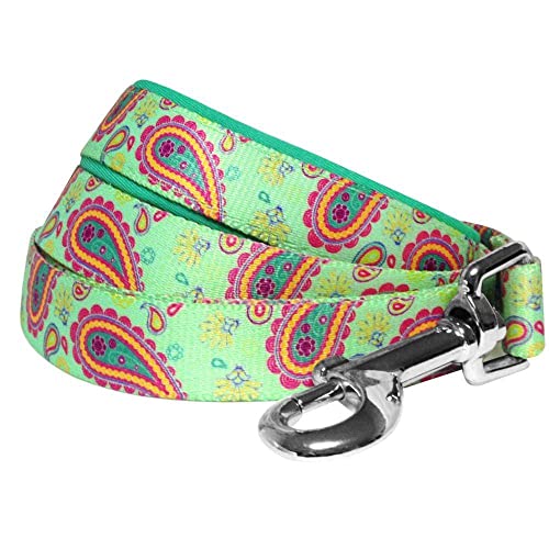 Blueberry Pet 5 Colors Paisley Flower Print Dog Leash with Soft & Comfortable Handle, 5 ft x 3/4