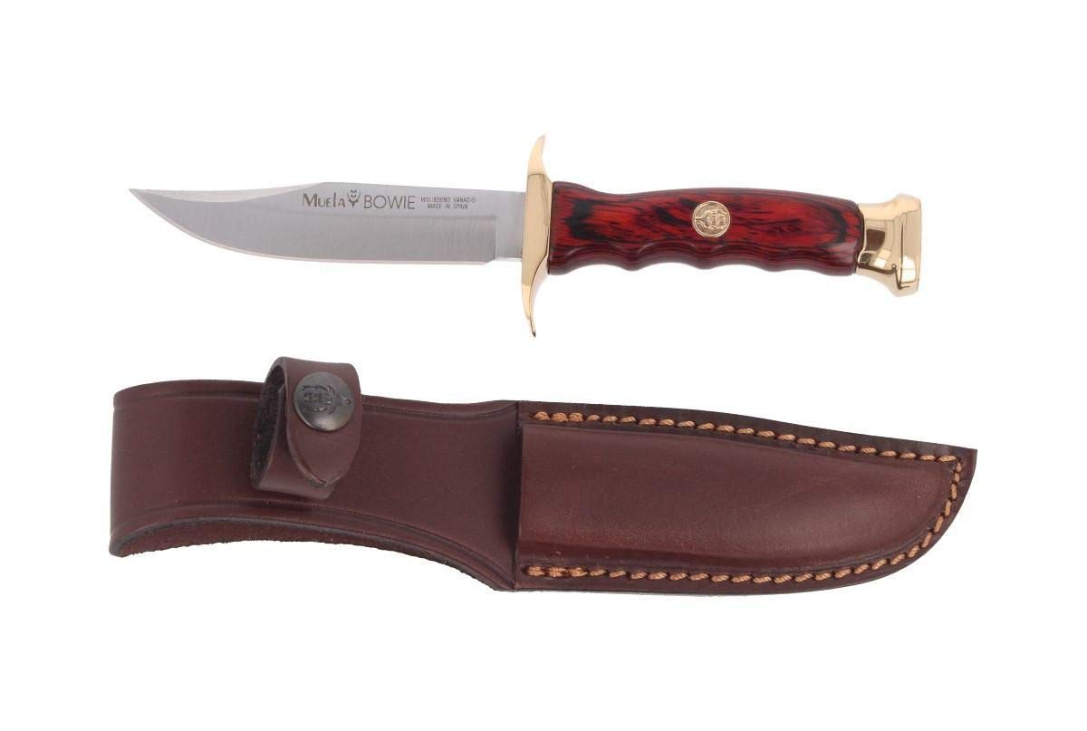Muela Cuchillo de caza BW-10 con hoja de acero inoxidable ACX-380 de 10 cm y empuñadura de madera de coral para Caza, Pesca, Supervivencia y Bushcraft + Portabotellas de regalo