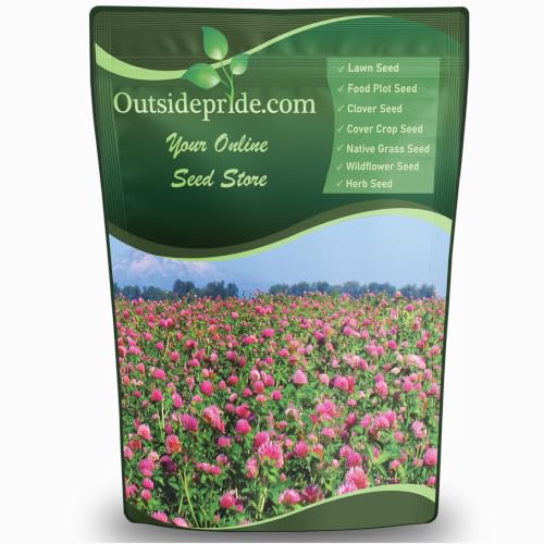 Outsidepride Perennial Red Clover Seeds - 2 lbs. Self-Seeding, Nitrocoated, Inoculated Clover Seeds...