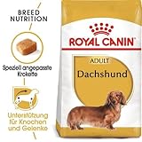 Royal Canin Dachshund Adult | Doppelpack | 2 x 500 g | Alleinfuttermittel für ausgewachsene Dackel ab dem 10. Monat