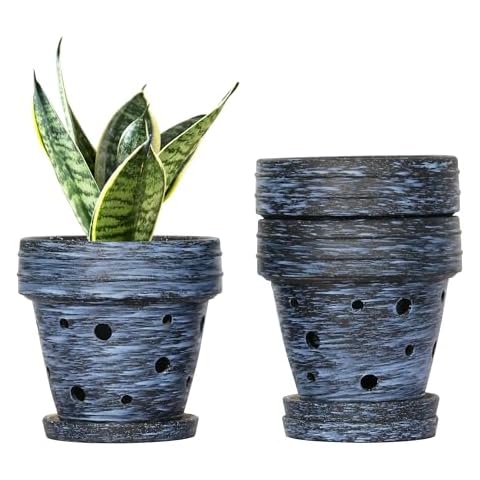 YFFSRJDJ 5.5 Inch Orchid Pots with Holes for Indoor Plants, Plant Pots with Drainage Hole, Ceramic Planter with Saucers, Flowet Pots - Set of 3 Cover
