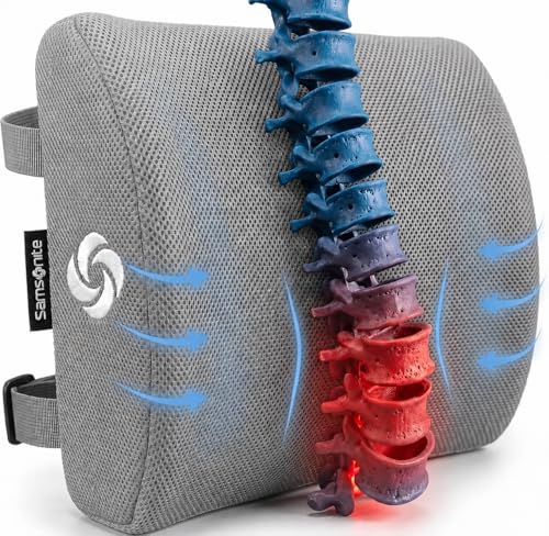 Image of Samsonite Memory Foam Lumbar Support Pillow for Office Chair, Gaming Chair & Car Seat Automotive Use, Ergonomic Back Cushion, Work from Home Essentials, Office Essentials for Sitting Comfort, Grey