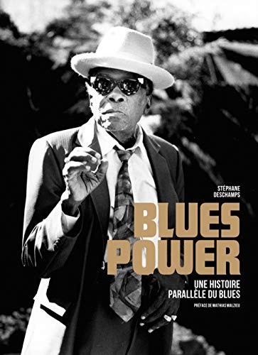 Télécharger Blues Power - une Histoire Parallèle du Blues livre En ligne